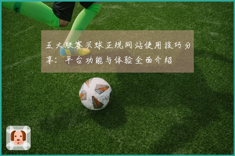 五大联赛买球正规网站使用技巧分享：平台功能与体验全面介绍